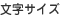 文字サイズ
